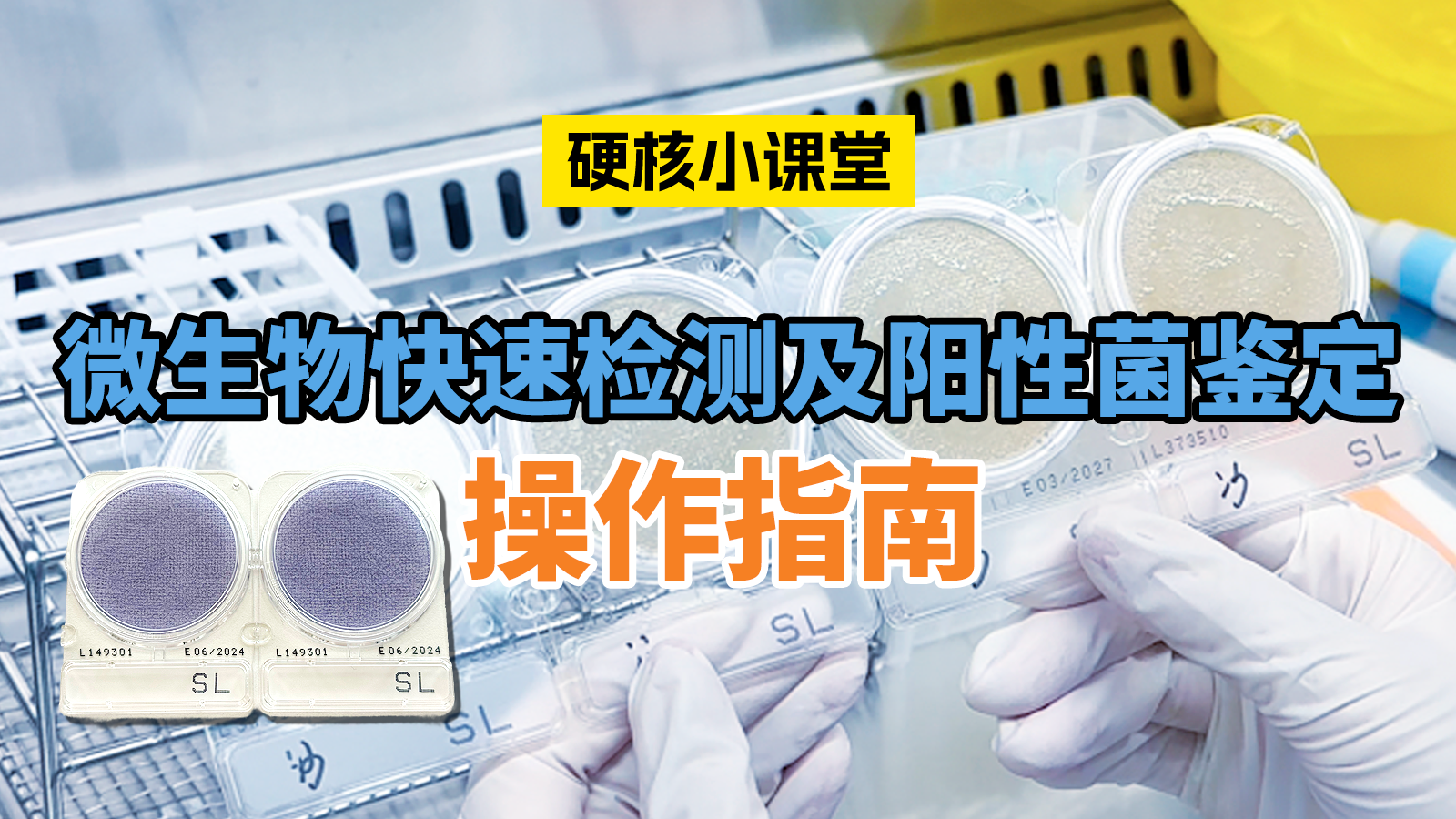 岛津Compact Dry微生物快速测试片检测及阳性菌鉴定操作指南