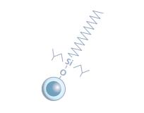 Shim-pack Velox SP-C18