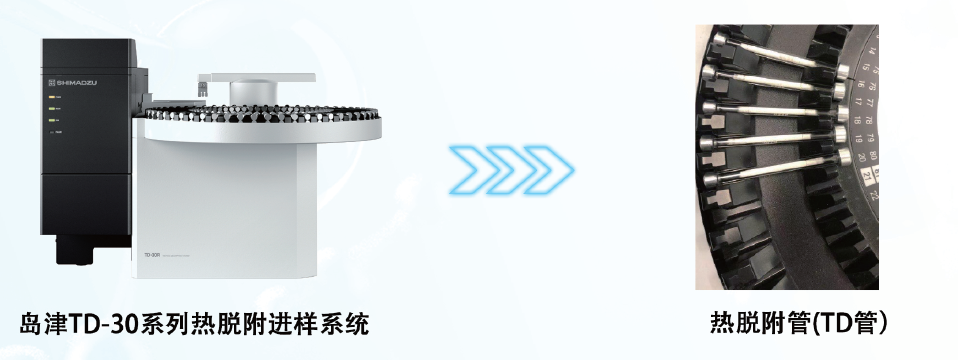 SHIMSEN TD-1.jpg