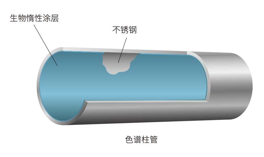 Shim-pack Scepter Claris