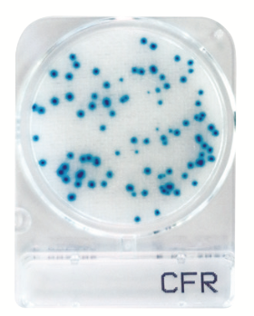 Compact Dry CFR 1400pc