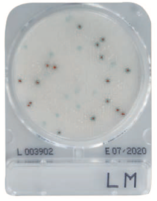 微生物快速测试片—单核细胞增生李斯特氏菌，CompactDry LM 240pc