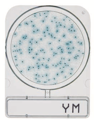 微生物快速测试片—霉菌与酵母，Compact Dry YM 1400pc