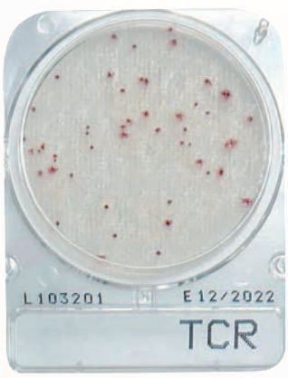 微生物快速测试片—菌落总数快速型，Compact Dry TCR 240pc