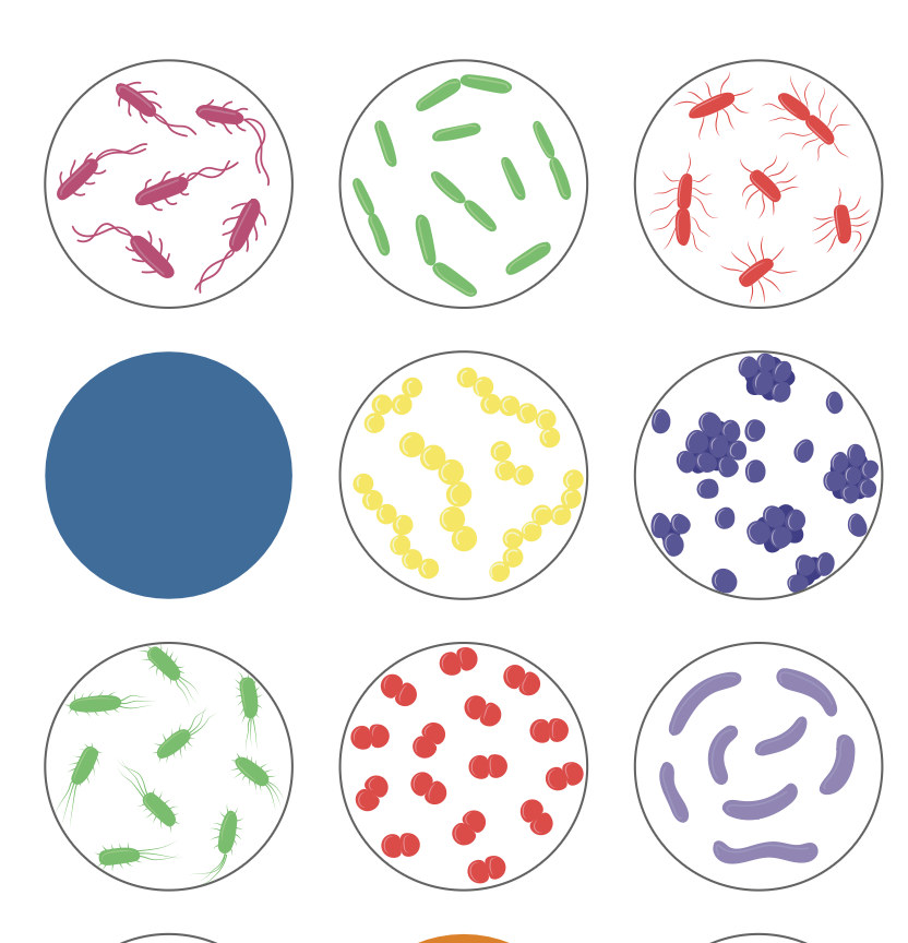 试剂盒ID Test EB-20